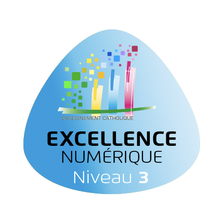 Excellence numérique niveau 3