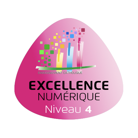 Excellence numérique niveau 4
